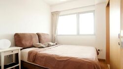 Eight Riversuites (D12), Condominium #587031481